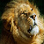 :iconkatherine0305: