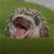 :iconkatherose: