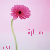 :iconkatherynnekeri:
