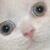 :iconkathetia: