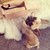 :iconkathi-cool: