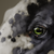 :iconkathiawaris: