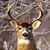 :iconkathryn-hr: