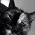 :iconkatia-sequina111: