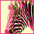 :iconkatie-karma: