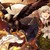 :iconkatie199710: