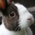 :iconkatieannmarie: