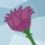 :iconkatieart: