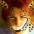 :iconkatiebignuts: