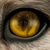 :iconkatiekoe: