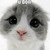 :iconkatiequeen25:
