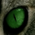 :iconkatingo: