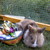:iconkatipanfunia20: