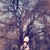 :iconkatja-strkova: