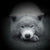 :iconkatkaalijah: