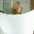 :iconkatknight: