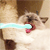 :iconkatlewis: