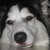 :iconkatlynmanson: