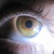 :iconkatori579: