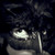:iconkatorobin11: