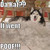 :iconkatpawprints: