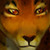:iconkatrah: