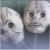 :iconkatreva: