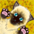 KatrionaTalnae :iconkatrionatalnae: