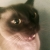 :iconkatrosea: