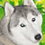 :iconkatrushka: