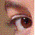 :iconkatse: