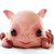 :iconkatsoya: