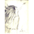 :iconkatssong: