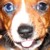:iconkatt-trina: