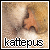 :iconkattepus: