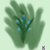 :iconkatterley: