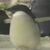 :iconkattfan102: