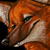 :iconkatthewolf: