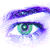 :iconkattos: