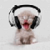 :iconkattwylde: