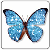 :iconkatty-spy: