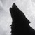 :iconkattykitty123: