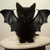 :iconkatvampire123: