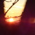 :iconkatwalk1713: