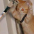 :iconkatwee: