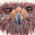 :iconkatyaartist: