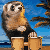 :iconkatyferret: