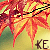 :iconkatyme: