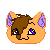 :iconkatze-fliegen: