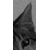 :iconkatzz: